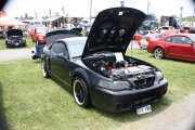 Black Mustang
